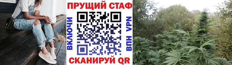 Купить наркотик аптеки Новоалтайск Псилоцибиновые грибы МЕТАДОН ГАШ Бошки Шишки МЕФ Кокаин СК