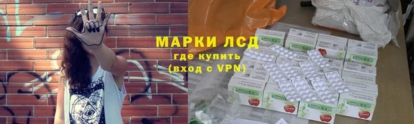 стафф Новокубанск