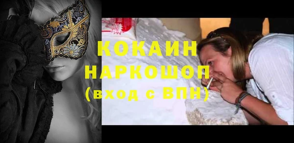 стафф Новокубанск