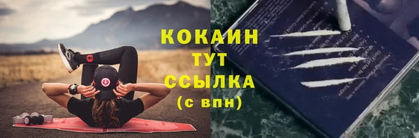 бошки Новозыбков