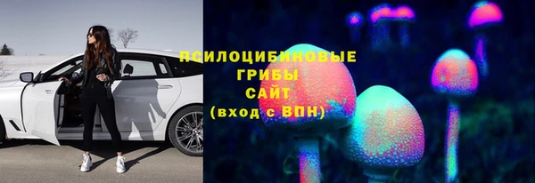 мдма Новодвинск