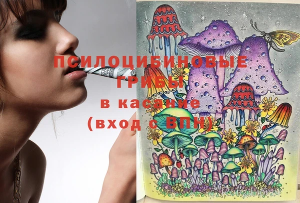 бошки Новозыбков