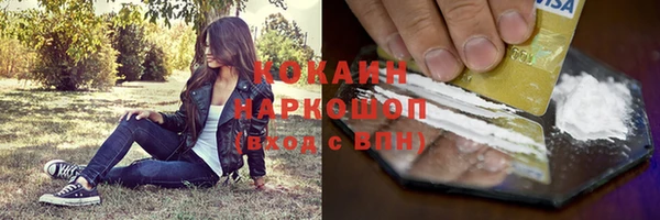 бошки Новозыбков