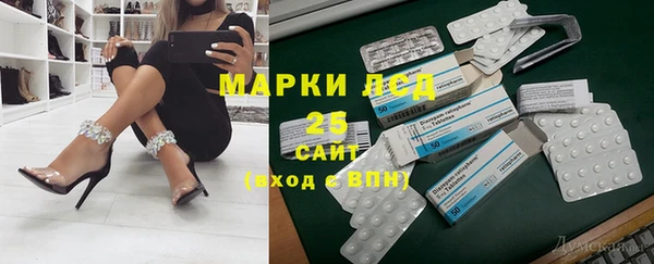 стафф Новокубанск