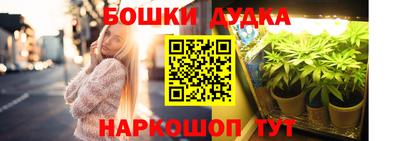 spice Кингисепп