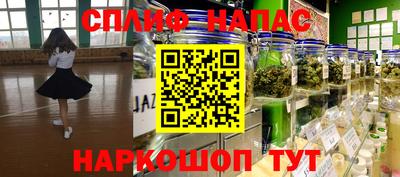spice Кингисепп