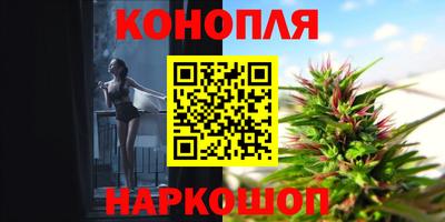 прущие грибы Апшеронск