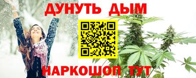 spice Кингисепп