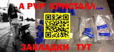 spice Кингисепп
