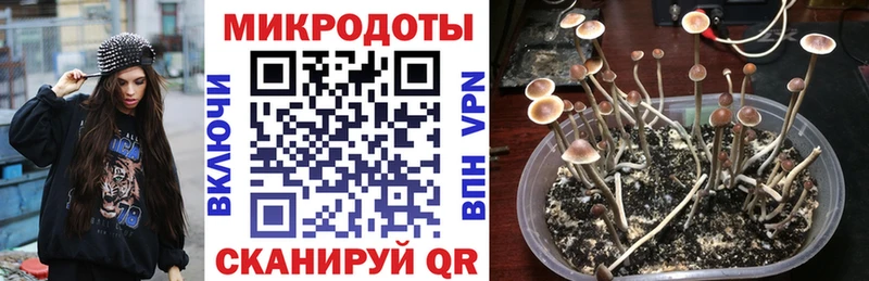Галлюциногенные грибы Cubensis MEGA ONION Новоалтайск