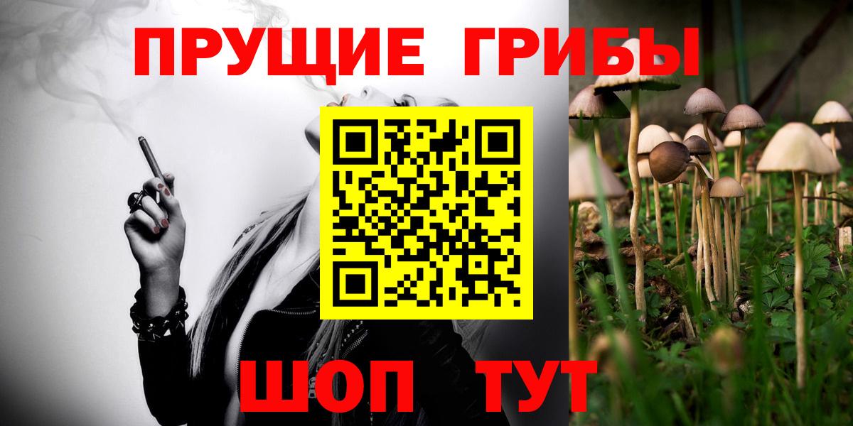 Псилоцибиновые грибы мухоморы Новоалтайск