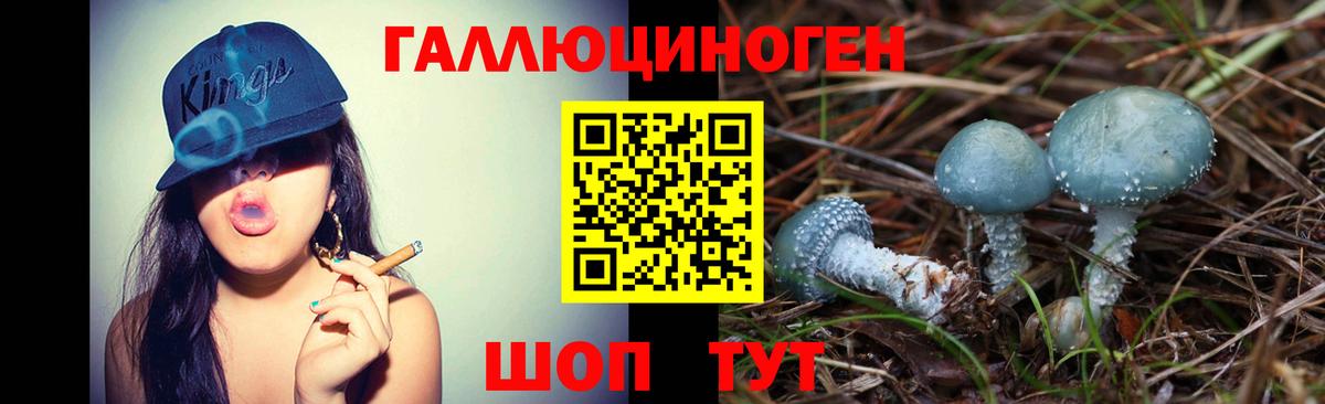 Псилоцибиновые грибы мухоморы  Новоалтайск  цена   Псилоцибиновые грибы Cubensis 