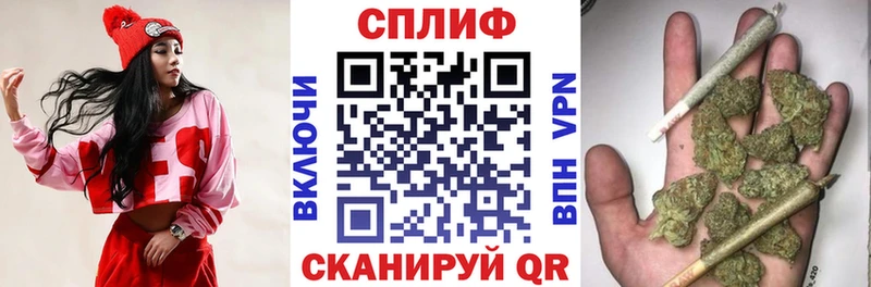 ОМГ ОМГ сайт  Новоалтайск  Шишки марихуана Ganja 