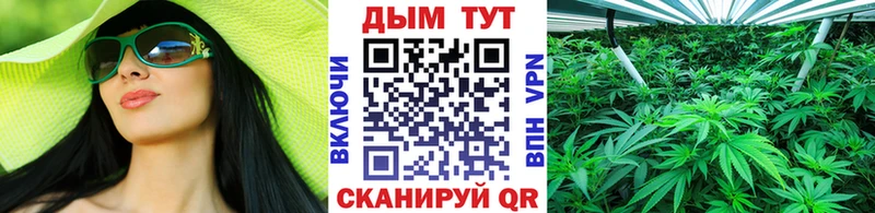 Канабис план Новоалтайск